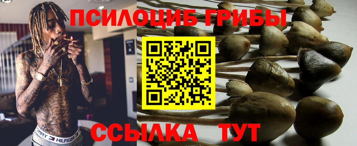 Псилоцибиновые грибы GOLDEN TEACHER Мирный